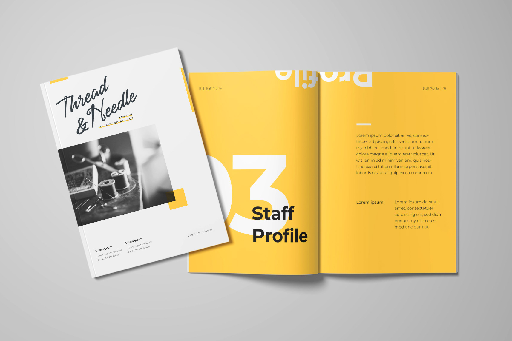 How to Write a Company Profile in 7 Steps (with example)